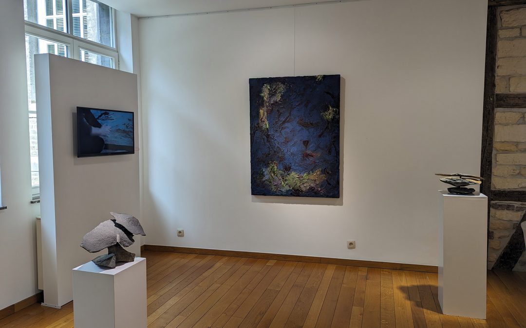 Exposition Anne Manoli et Francois Weil, Galerie Christine Colon, Liège, Belgique