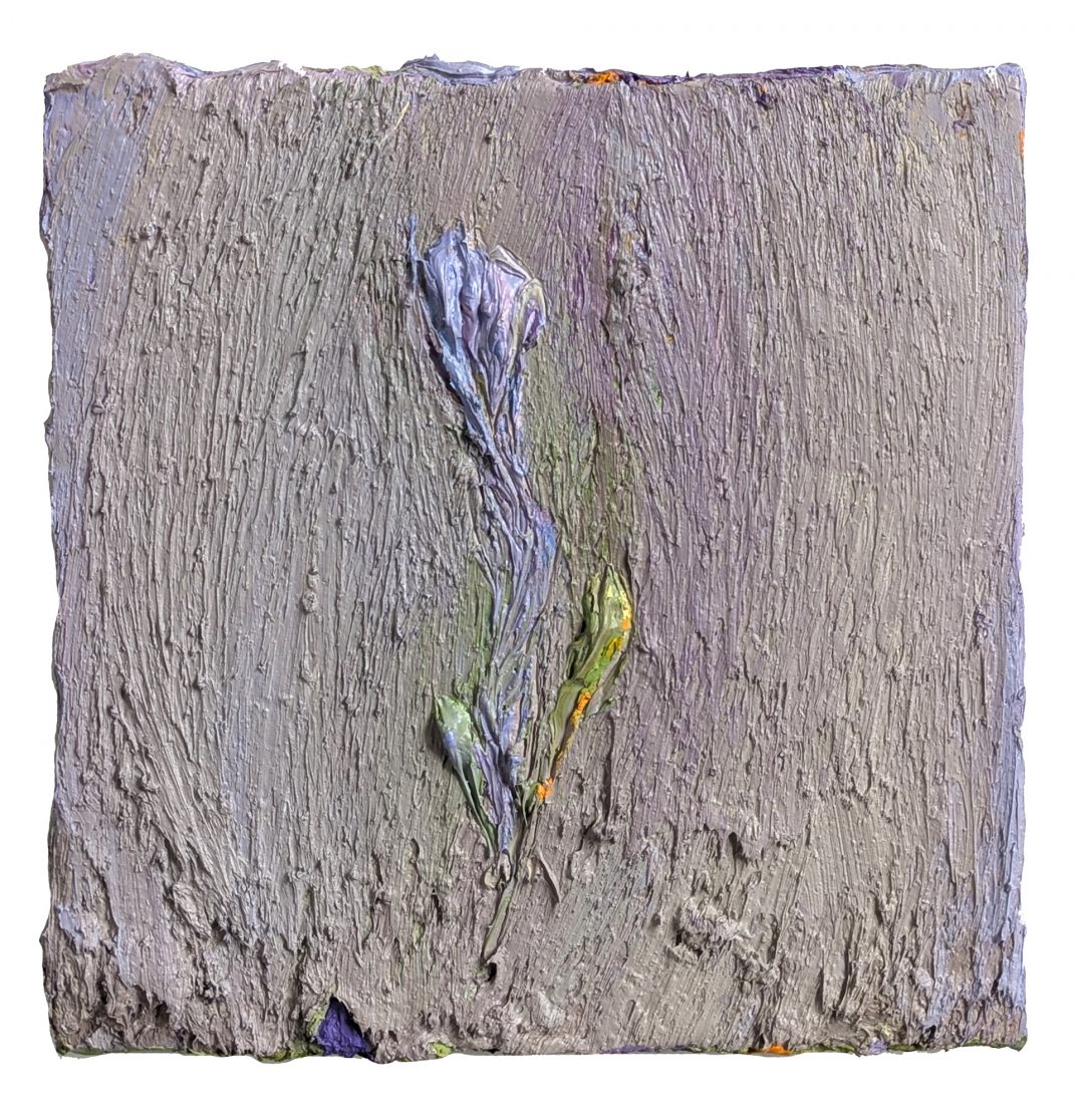 anne-manoli-2-stratas-bloom-peinture-2025-huile-cire-sur-toile-50cmx50cm