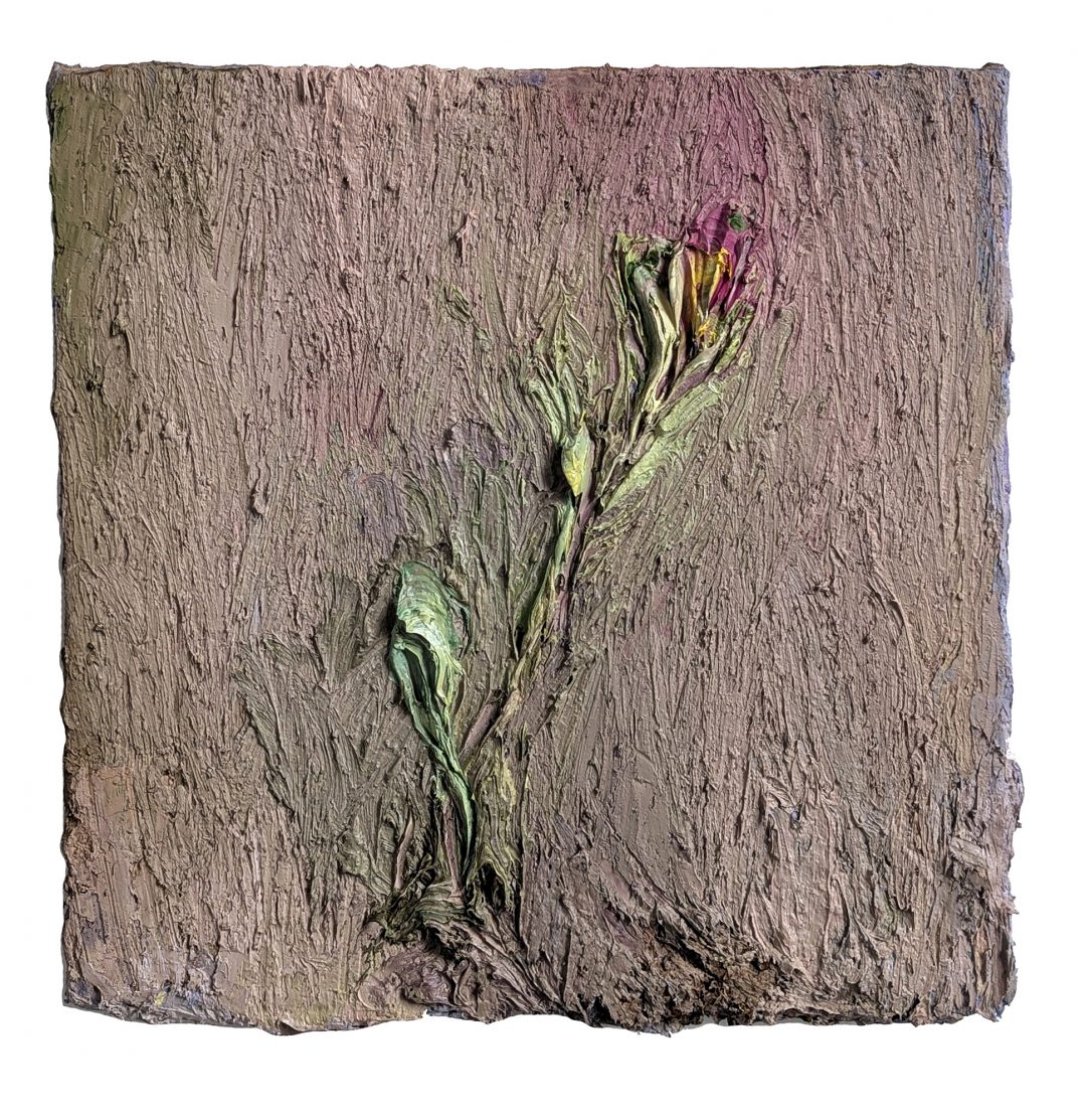 anne-manoli-3-stratas-bloom-peinture-2025-huile-cire-sur-toile-50cmx50cm